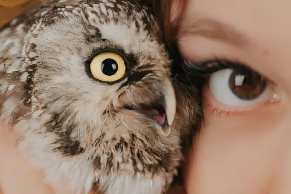 Casino Welcome Bingo Supporto